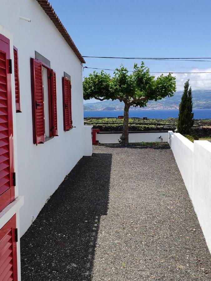 Вилла Casa Da Ilha Мадалена Экстерьер фото